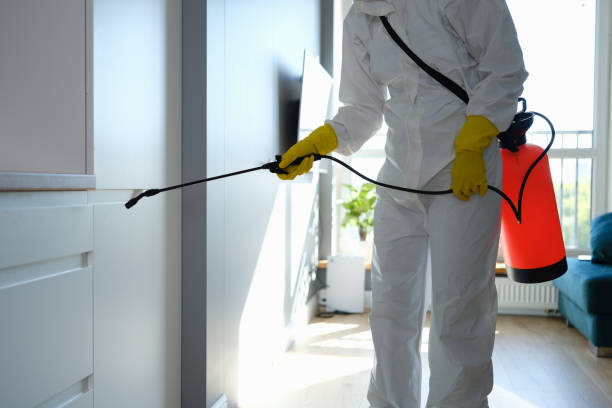 Best Commercial Mold Remediation in Kamas, UT