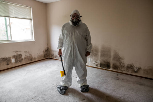 Best Residential Mold Remediation in Kamas, UT